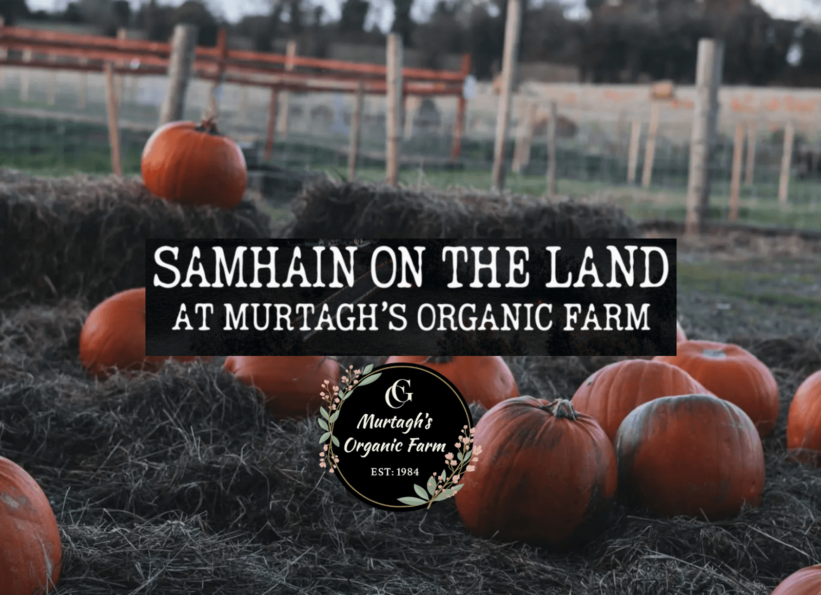 Samhain on the Land at Murtagh’s Organic Farm - Westmeath