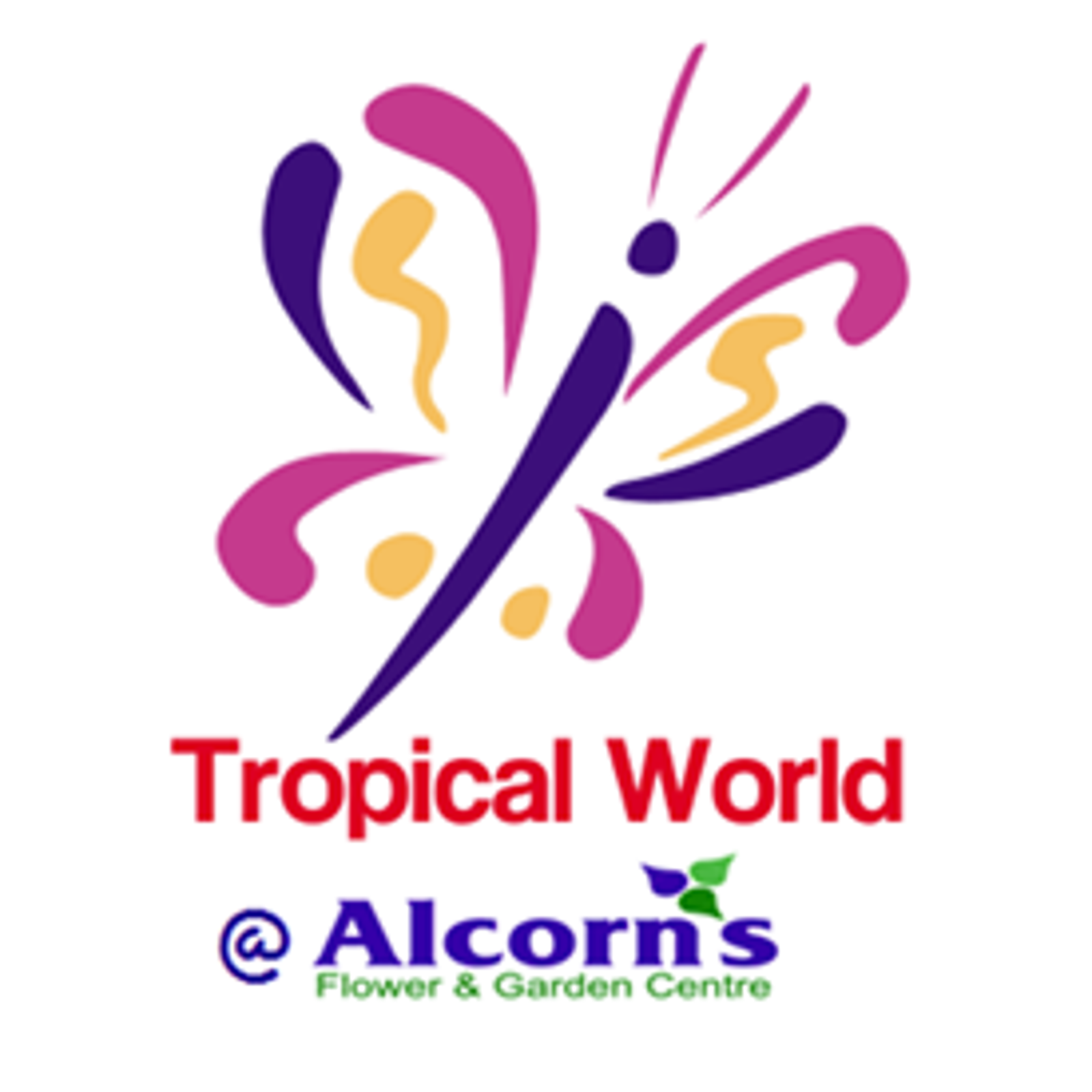 Tropical World - Letterkenny, Donegal