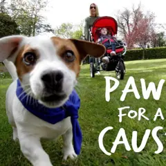 Paws Featured Image1)