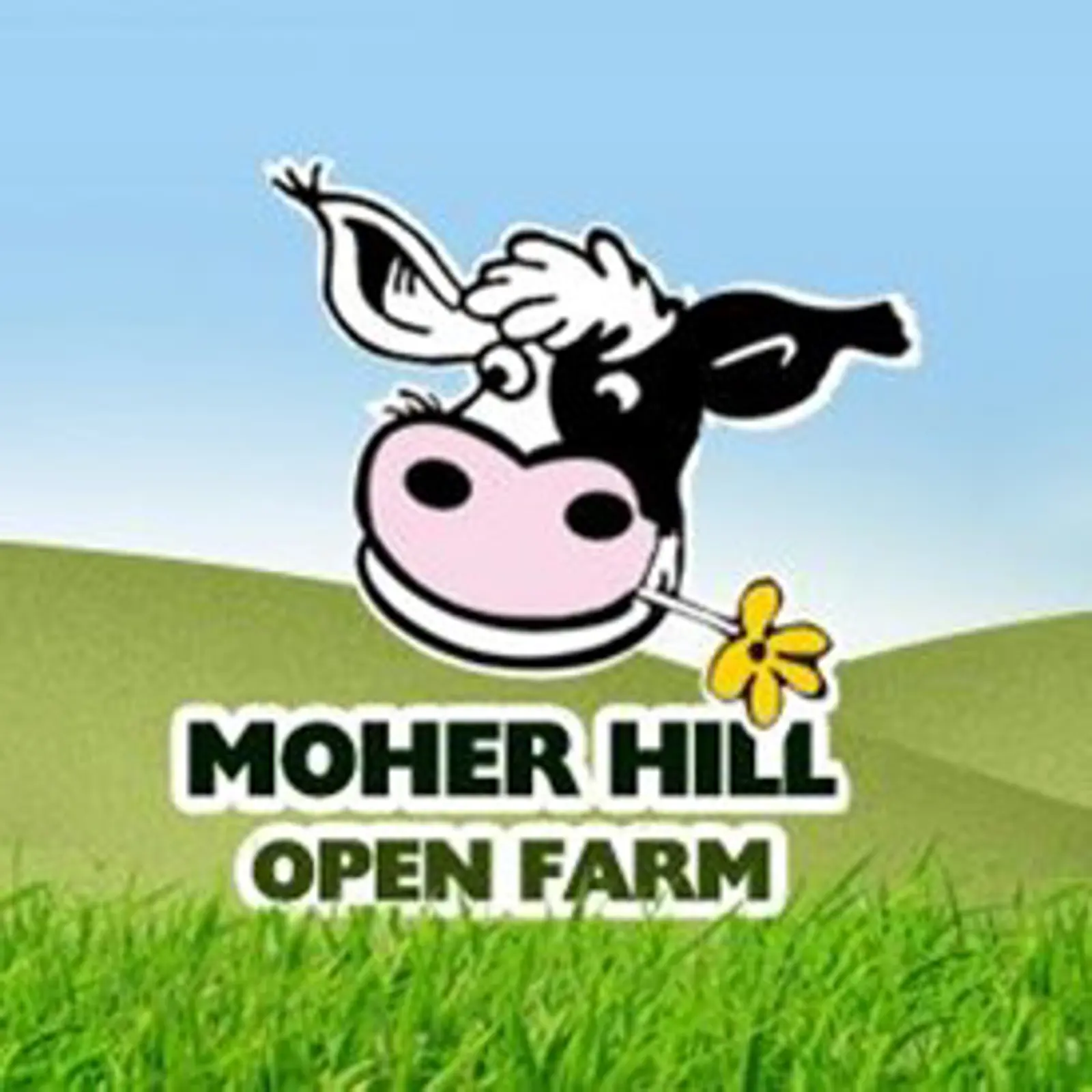 Moher Hill Open Farm - Clare
