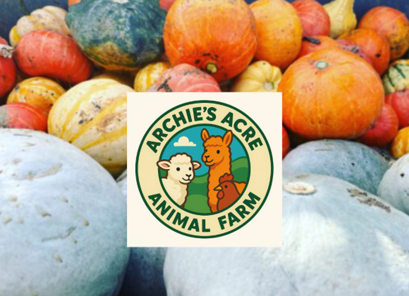 Ballymad Farm – Piltown Pumpkin Patch at Archie’s Acre Animal Farm – Meath