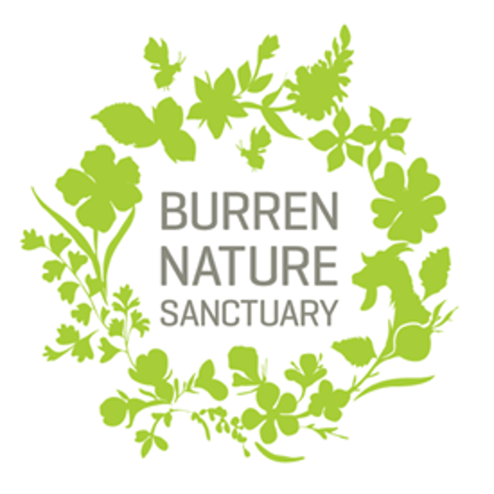 Burren Nature Sanctuary - Galway
