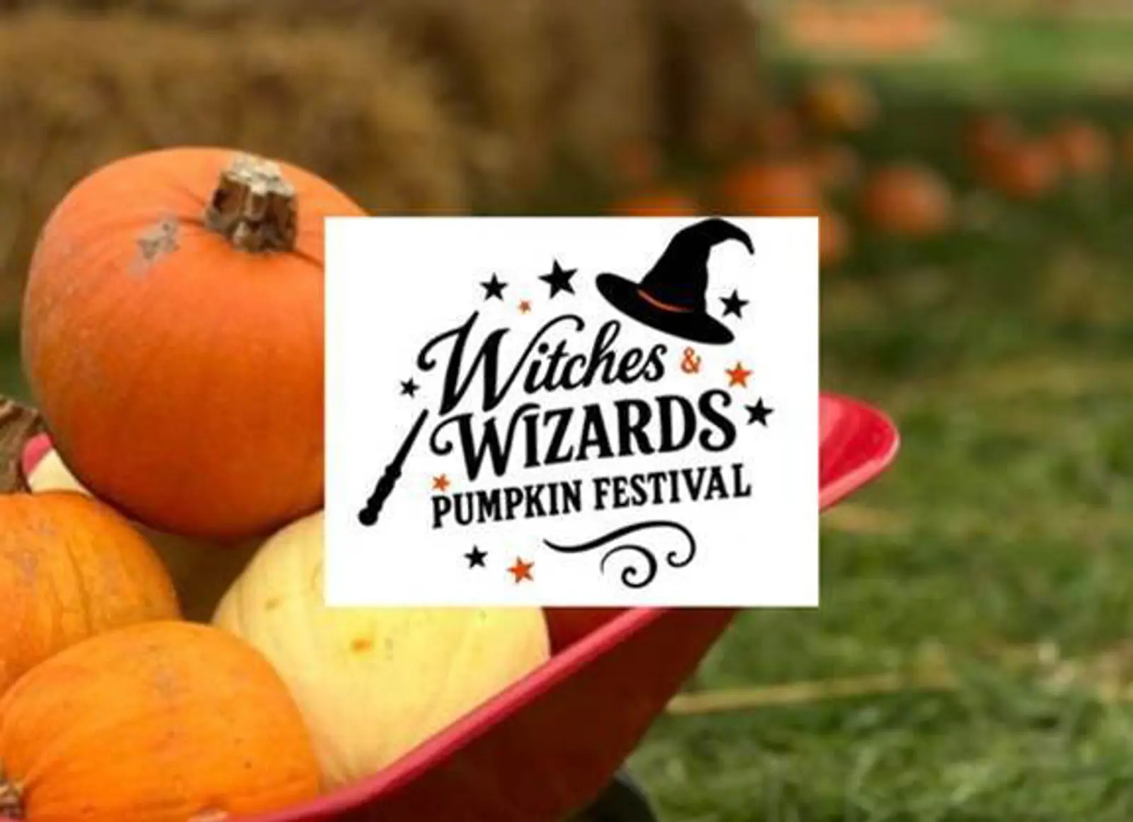 Witches & Wizards Pumpkin Festival – Kilkenny