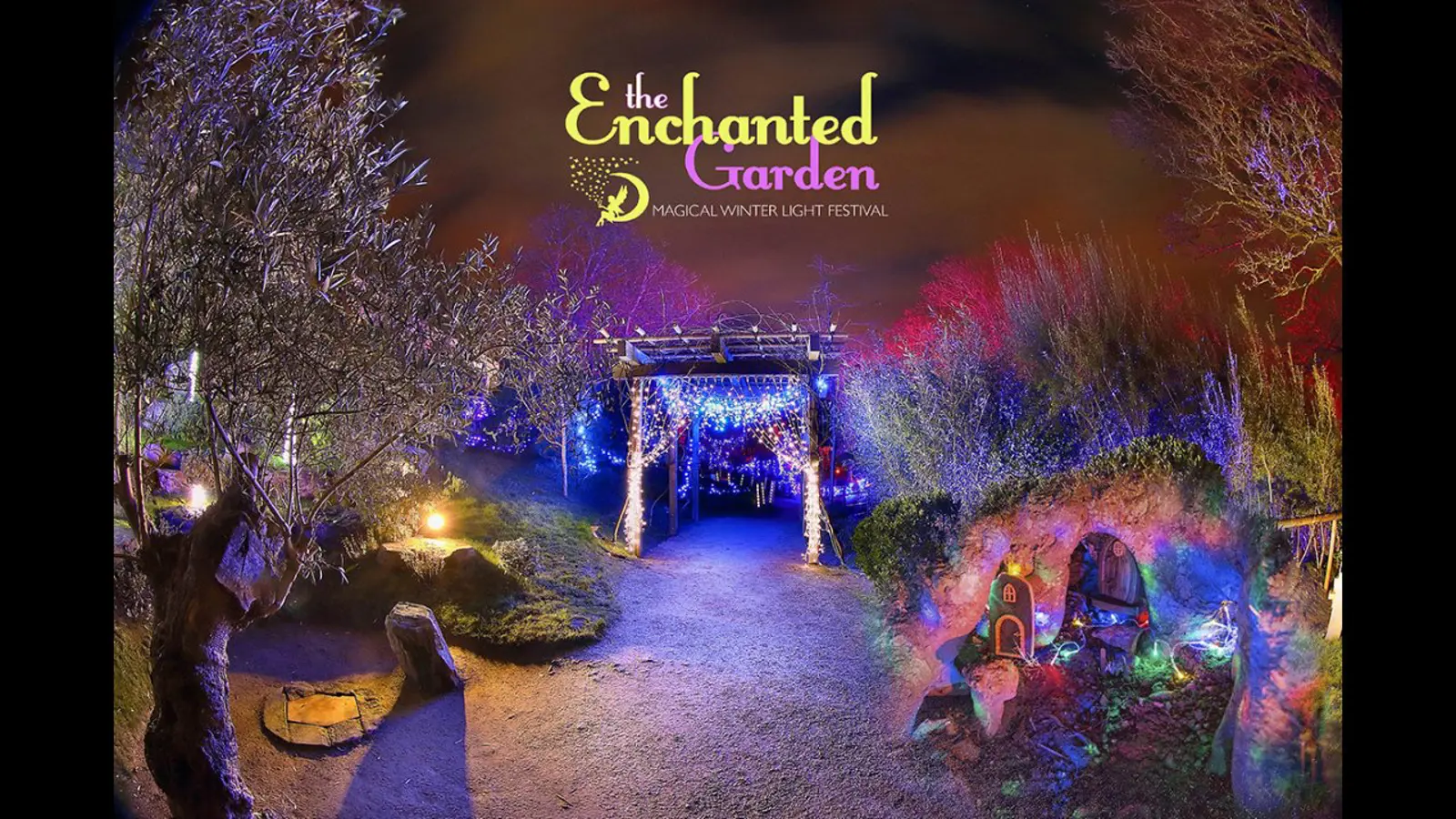 Enchanted Garden Winter Lights at Lafcadio Hearn Gardens Tramore