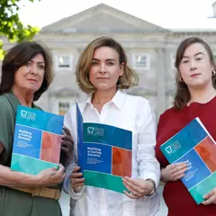 NO FEE 1 Family Carers Ireland Pre Budget 2027 Submission)