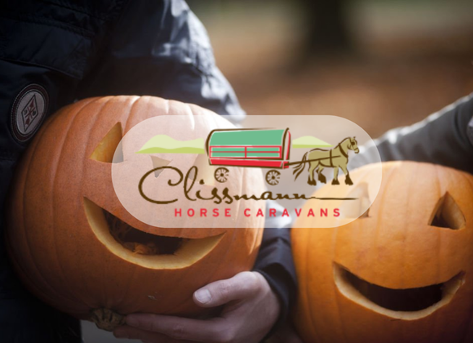 Autumn Adventures at Clissmann Pumpkin Patch – Wicklow 