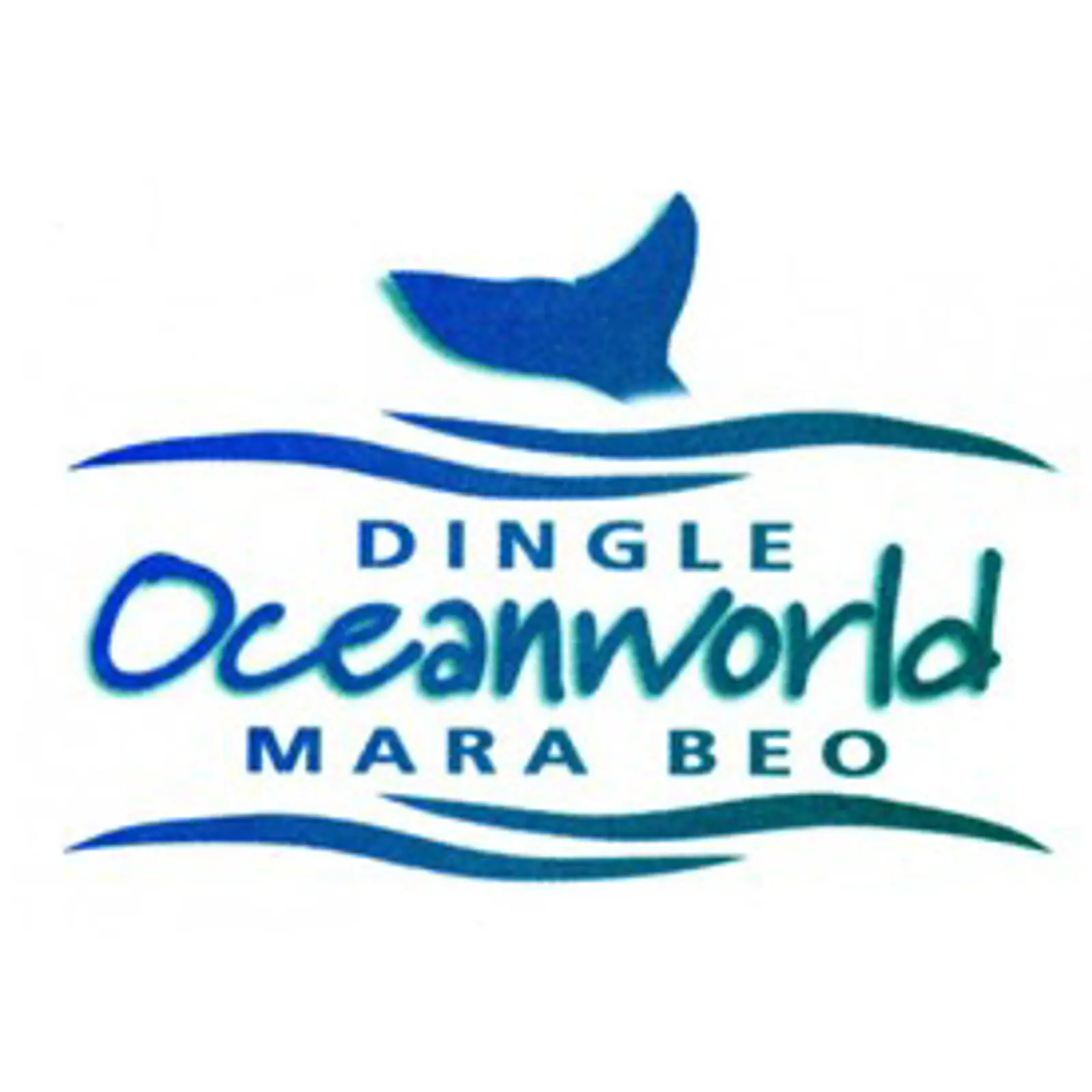 Dingle Aquarium - Kerry