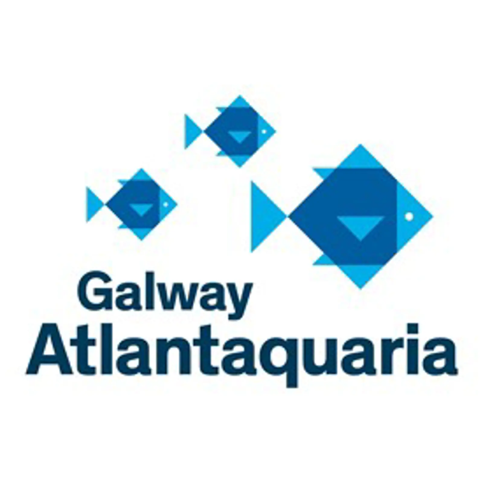 Galway Atlantiquaria