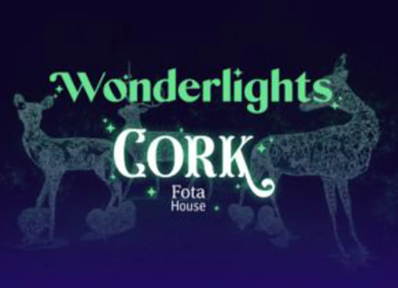 Wonderlights at Fota House - Cork